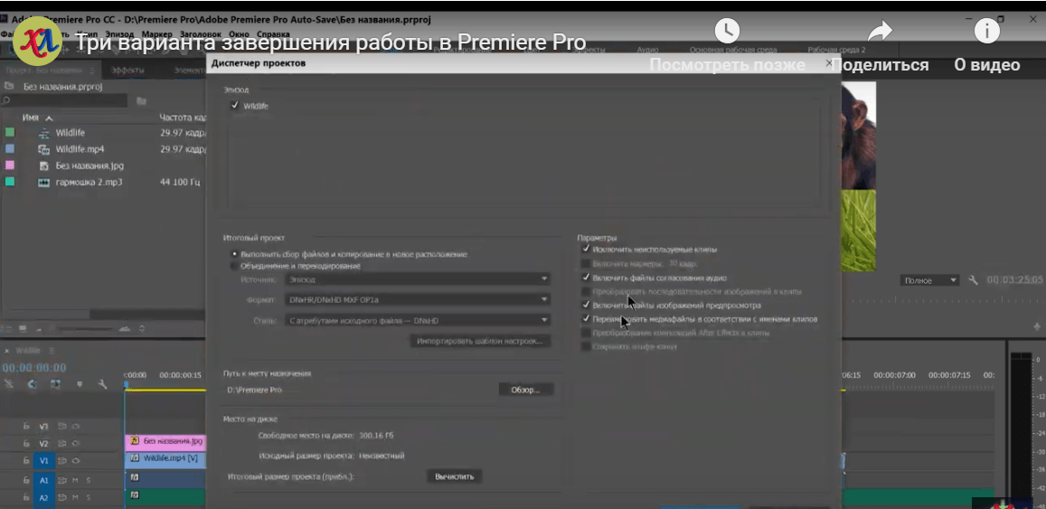 Как сохранить проект в адоб премьер про как видео