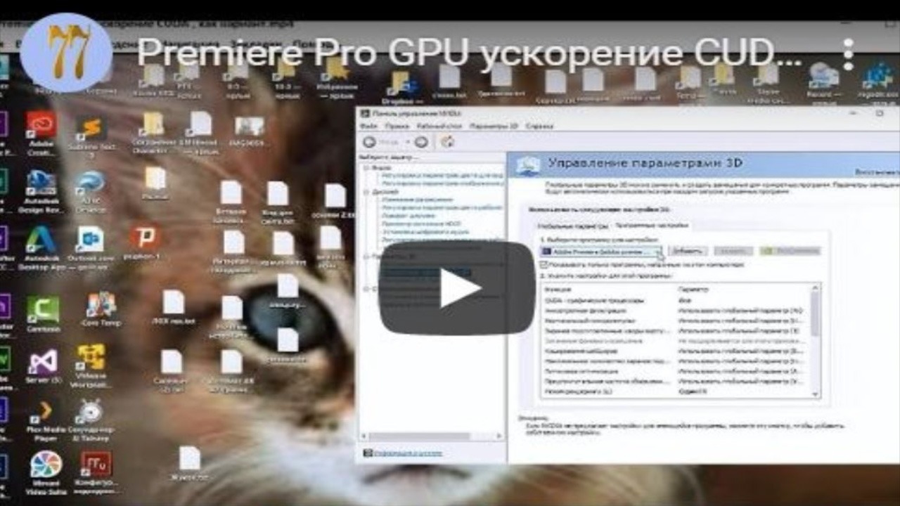 Наилучшее качество визуализации adobe premiere что это